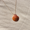 Pacific Calico Scallop Necklace | 14K Gold-filled