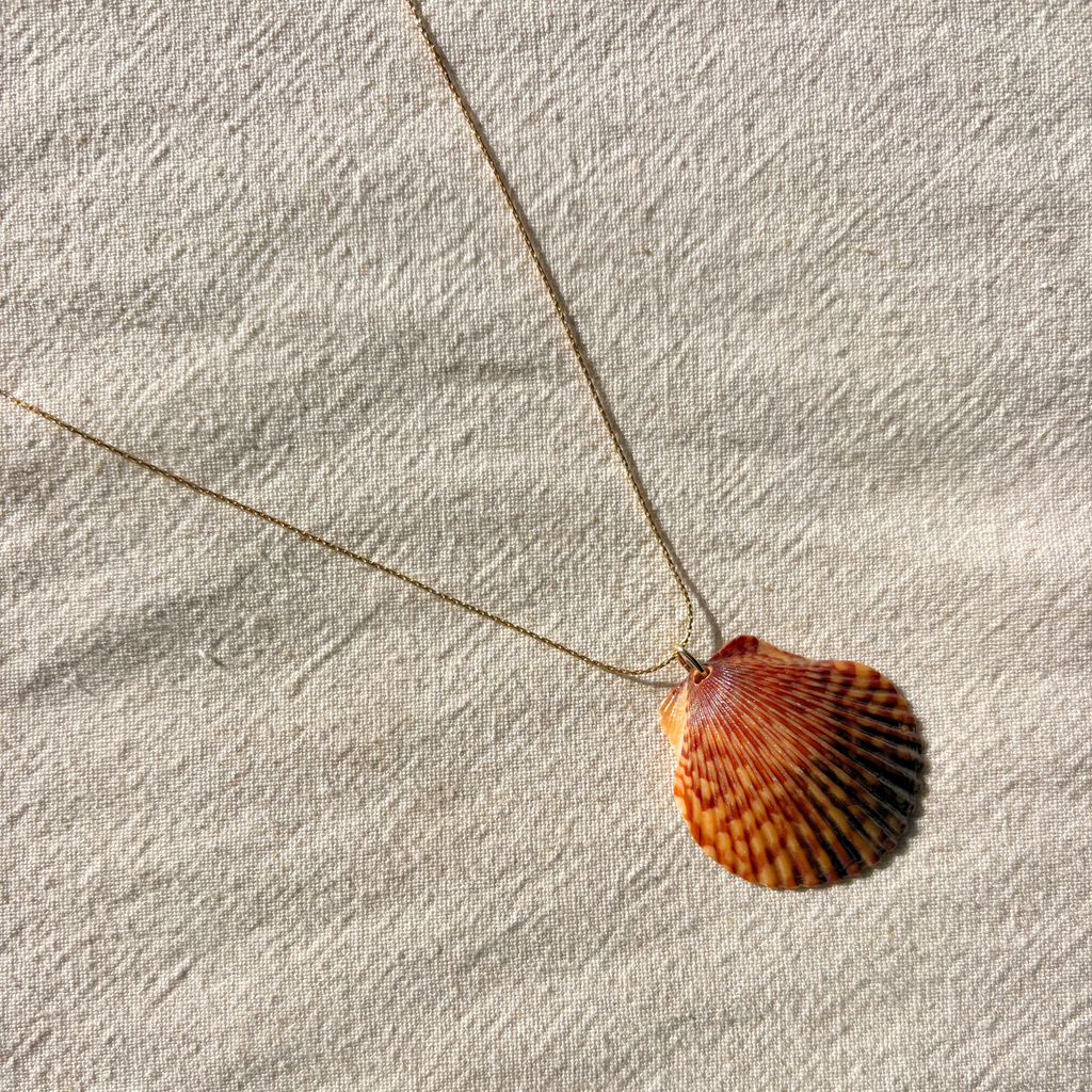 Pacific Calico Scallop Necklace | 14K Gold-filled