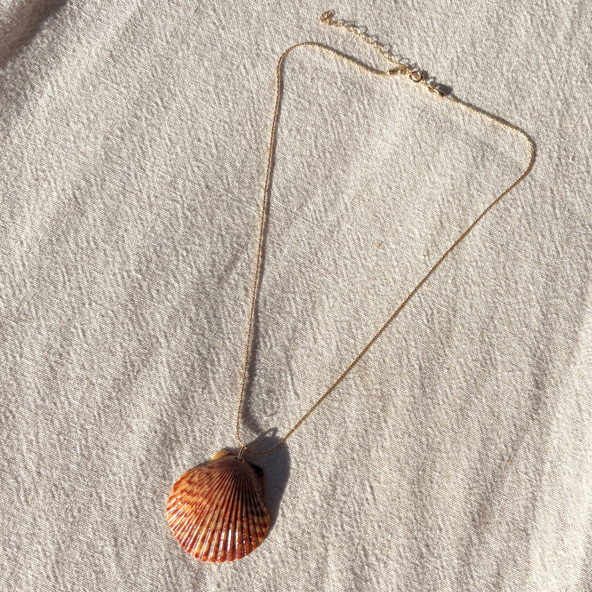 Pacific Calico Scallop Necklace | 14K Gold-filled