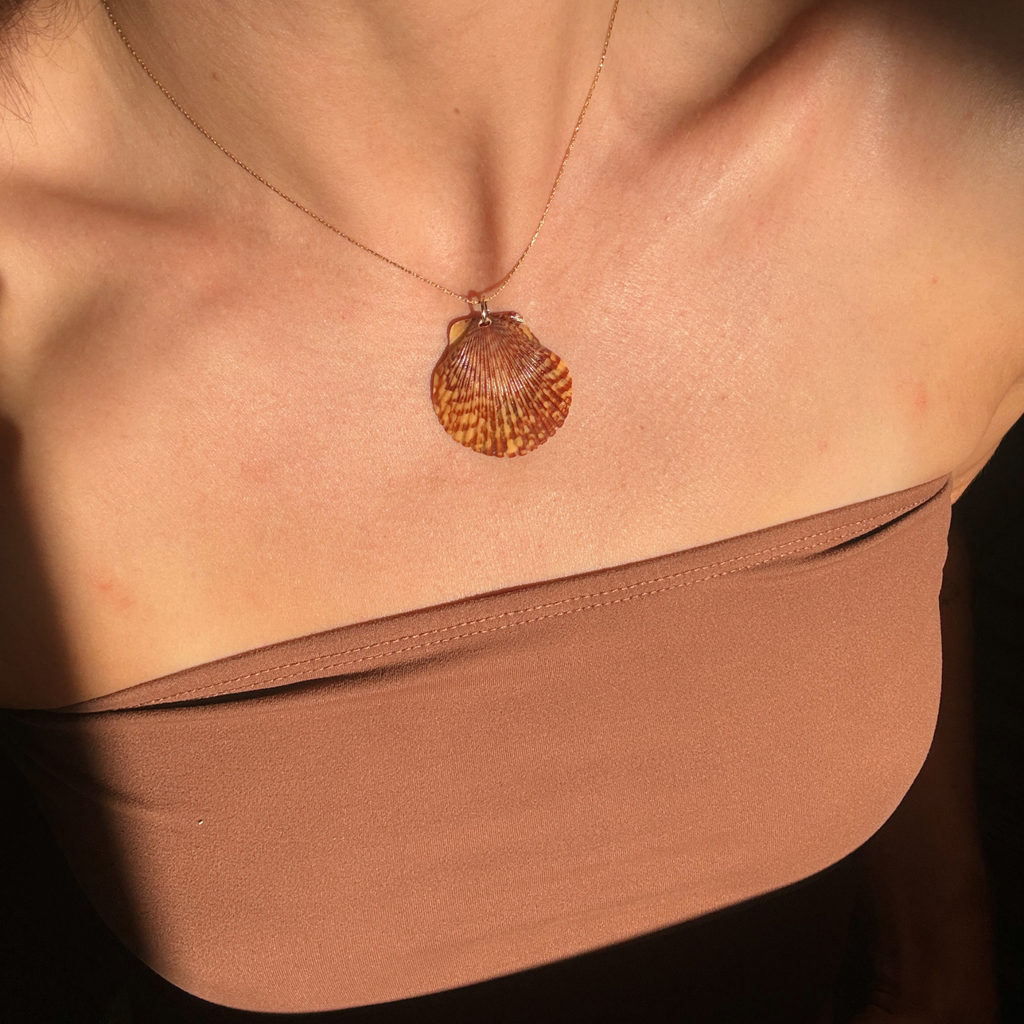 Pacific Calico Scallop Necklace | 14K Gold-filled