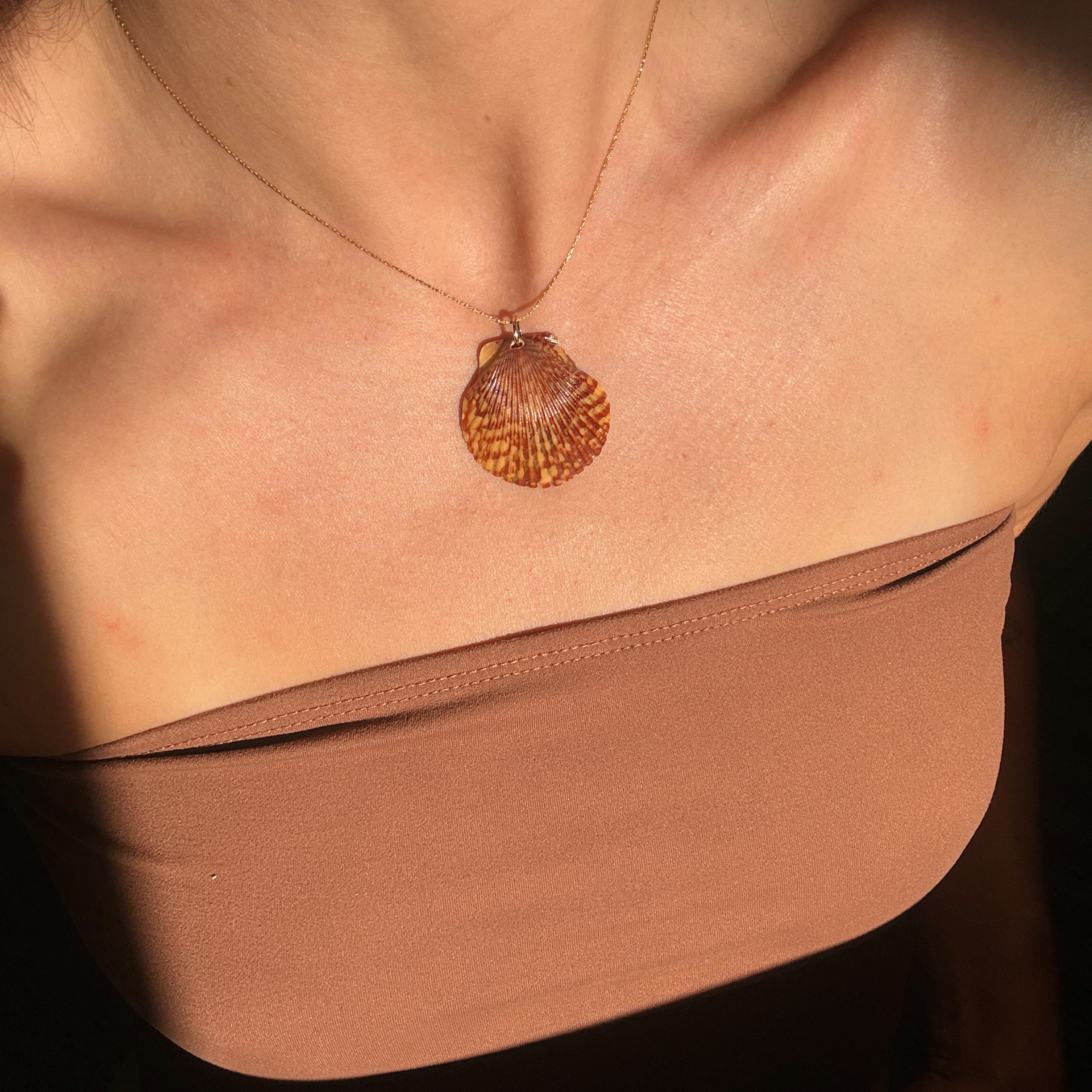 Pacific Calico Scallop Necklace | 14K Gold-filled