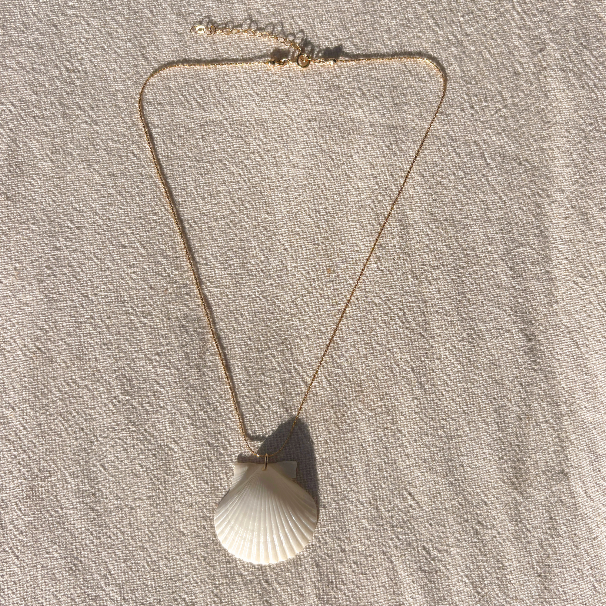 White Scallop Necklace | 14K Gold-filled
