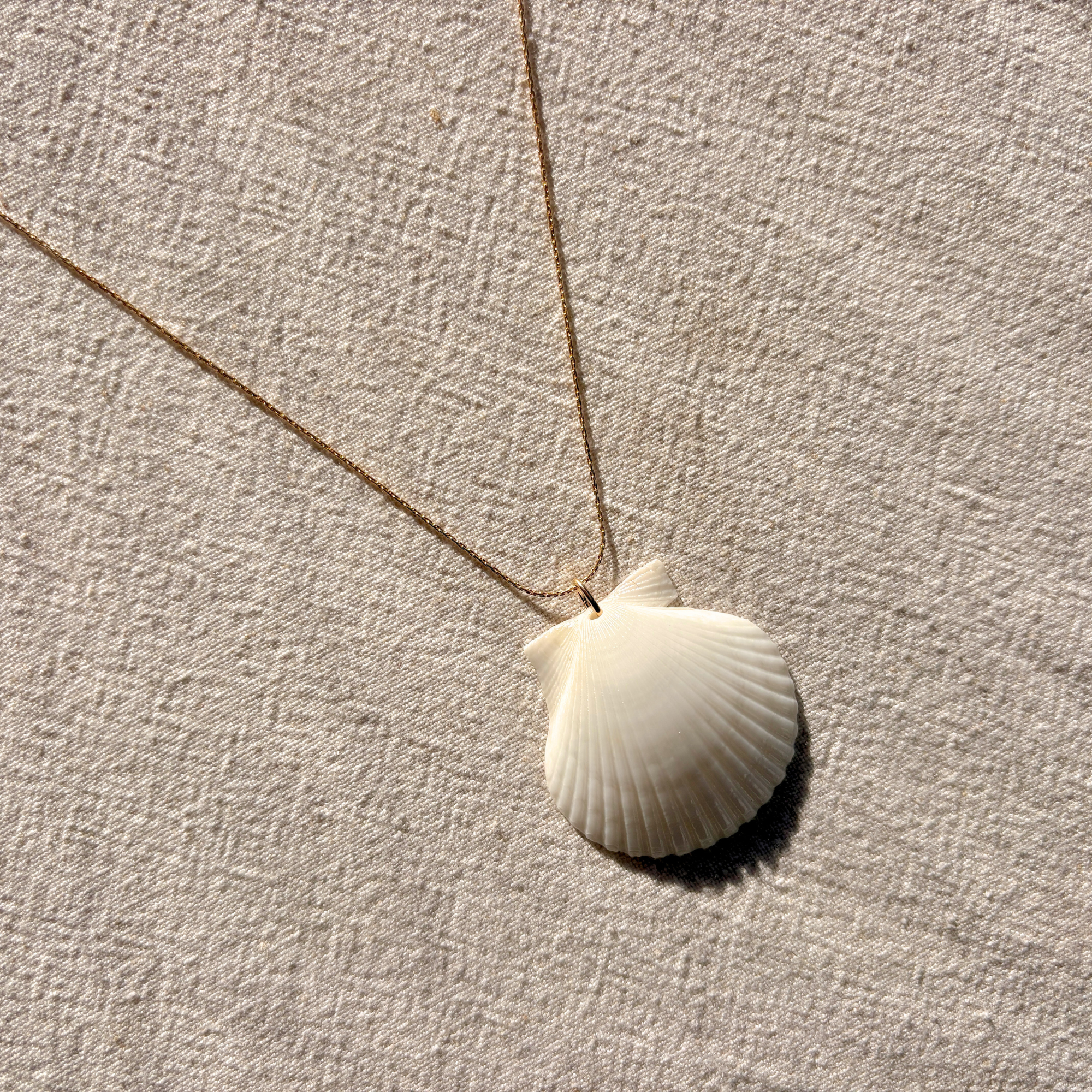 White Scallop Necklace | 14K Gold-filled