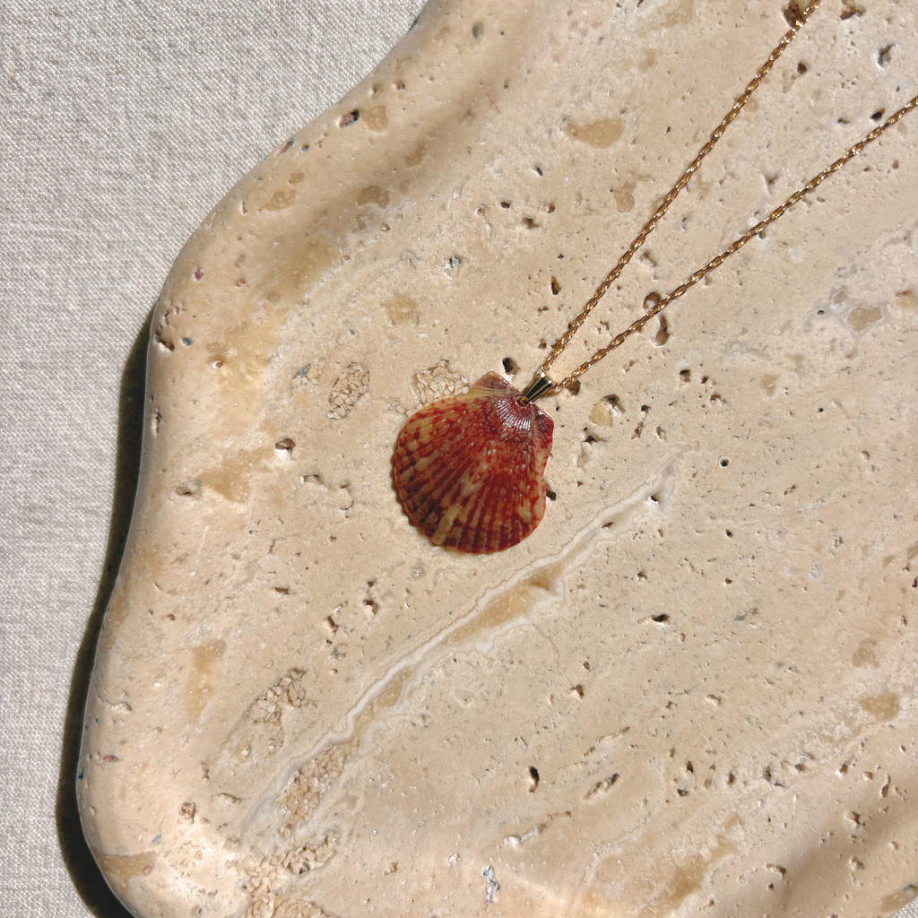 Pacific Calico Scallop Necklace | 14K Gold-filled