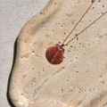 Pacific Calico Scallop Necklace | 14K Gold-filled