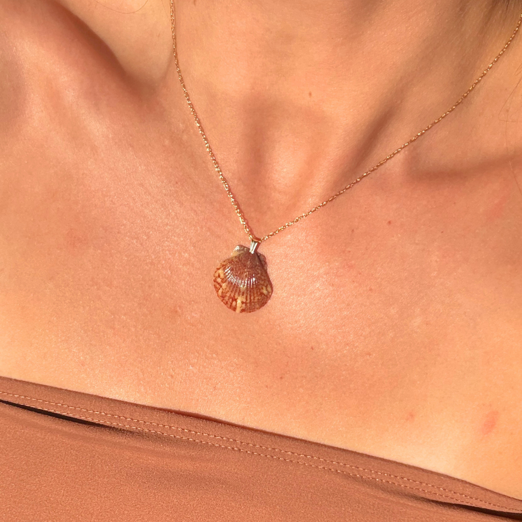 Pacific Calico Scallop Necklace | 14K Gold-filled