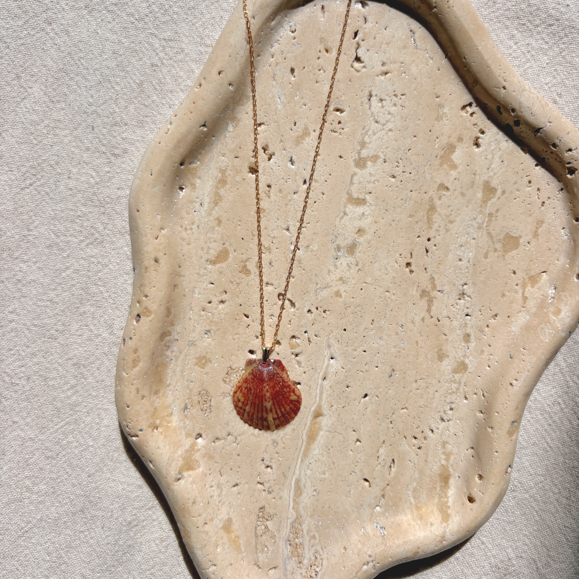 Pacific Calico Scallop Necklace | 14K Gold-filled