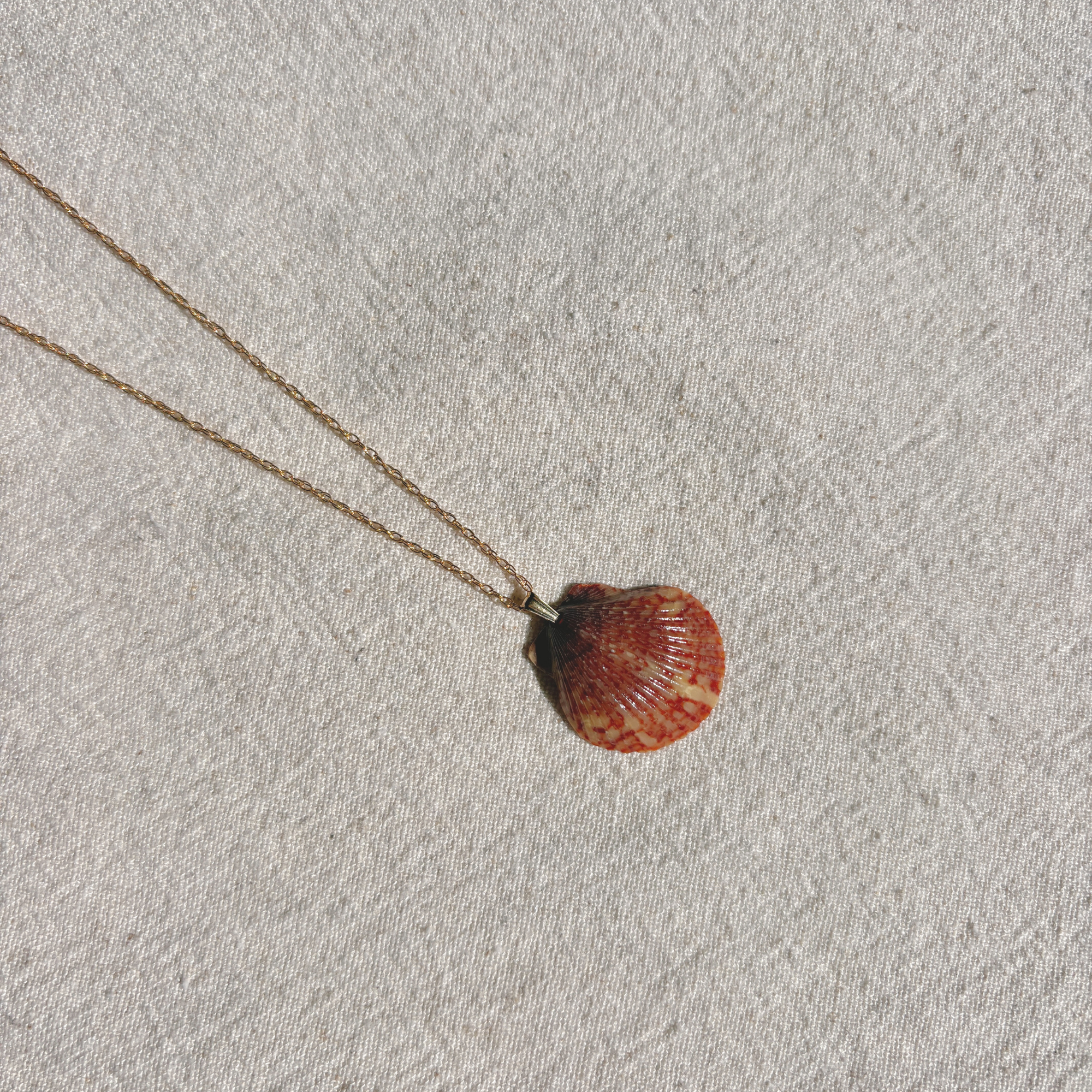 Pacific Calico Scallop Necklace | 14K Gold-filled