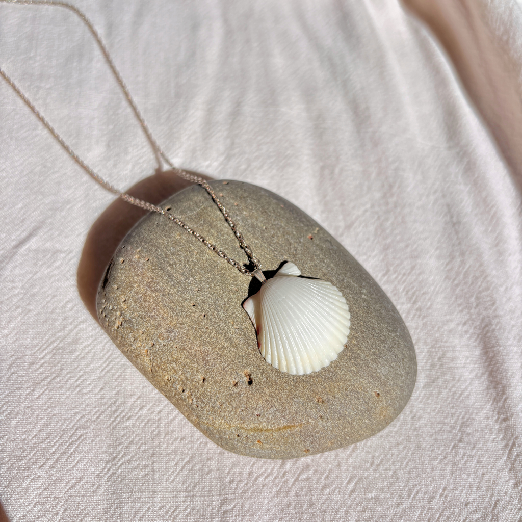 Floridian Scallop Necklace | Sterling Silver