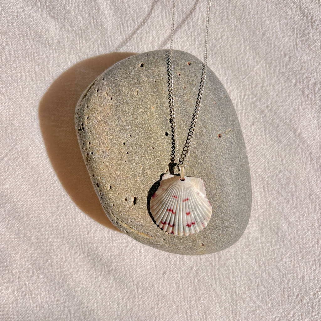 Floridian Scallop Necklace | Sterling Silver
