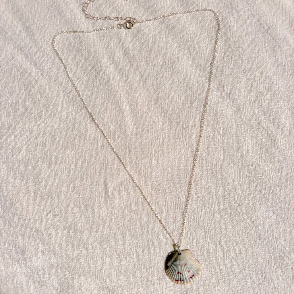 Floridian Scallop Necklace | Sterling Silver