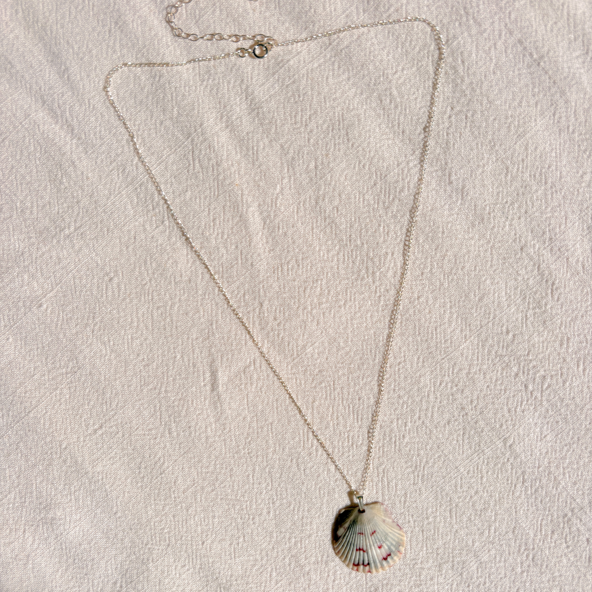 Floridian Scallop Necklace | Sterling Silver