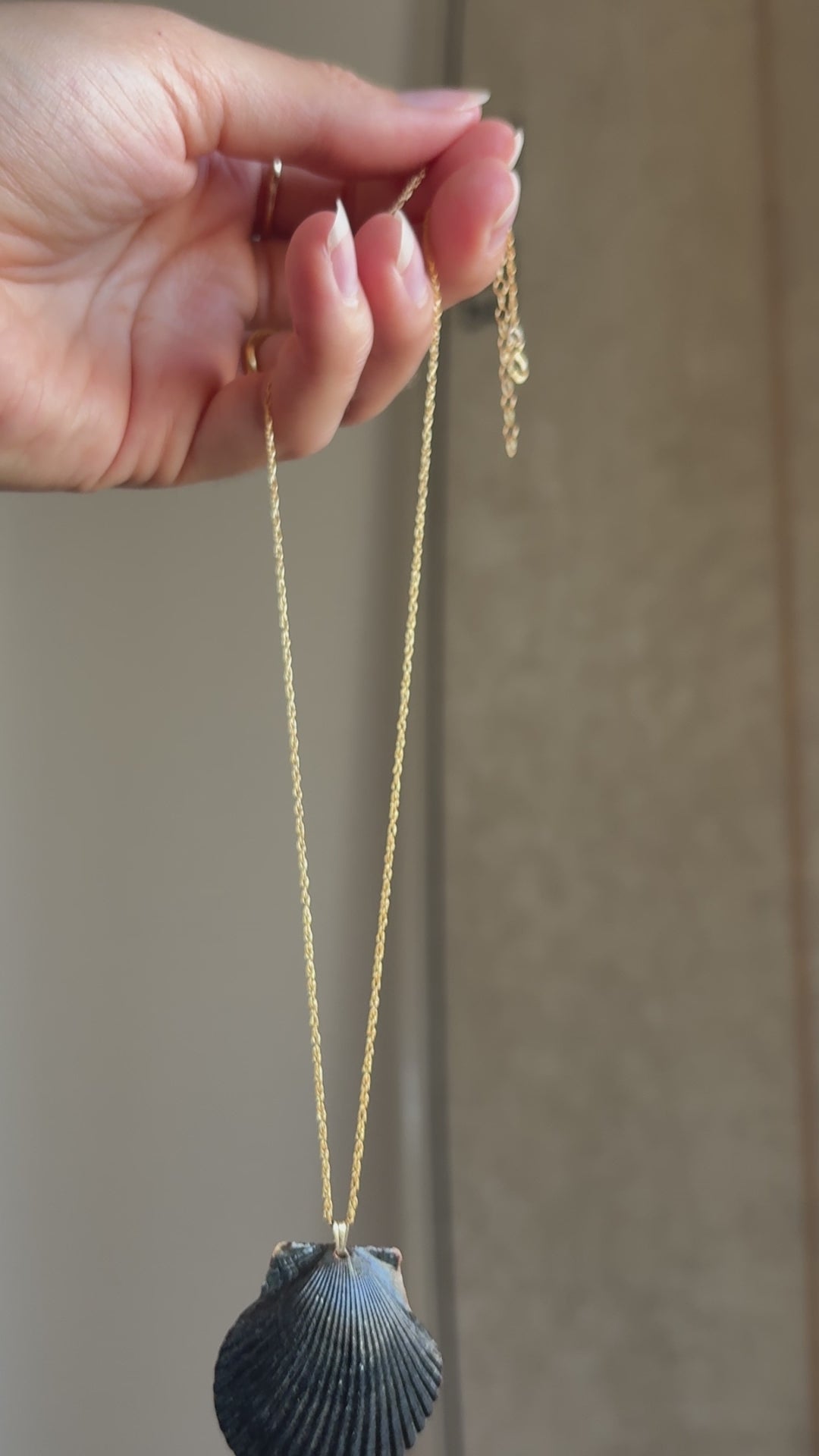 Pacific Calico Scallop Necklace | 14K Gold-filled